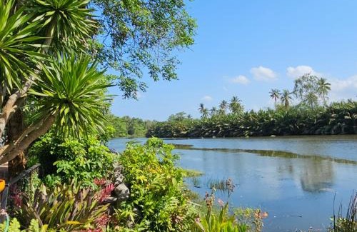 Makham Tia Casa | Wooden house and birdsong2