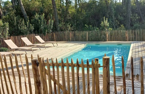 Le Canon Villa | Villa de madera en Cap Ferret en los pinos - cerca del océano - sin vecinos