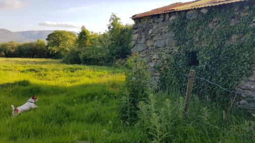 Killarney Casa | Woodford Guest House in old farm