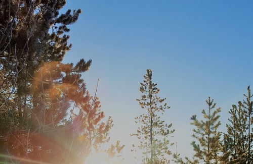 Prince George Cabaña | Woodhouse Cottages and Ranch - Corral Cottage