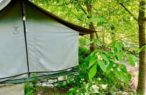 Jibhi Otro | woodland camping tent jibhi