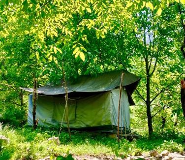 Jibhi Otro | woodland camping tent jibhi
