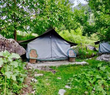 Jibhi Otro | woodland camping tent jibhi