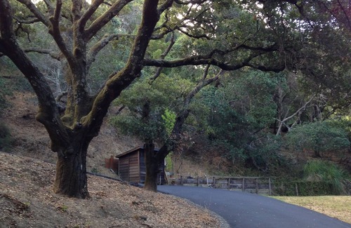 West End Casa | Woodland Sanctuary Walking Distance to towns of San Anselmo and San Rafael