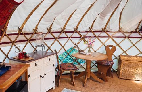 West Buckland Otro | Woodland Yurt at Kingsmead