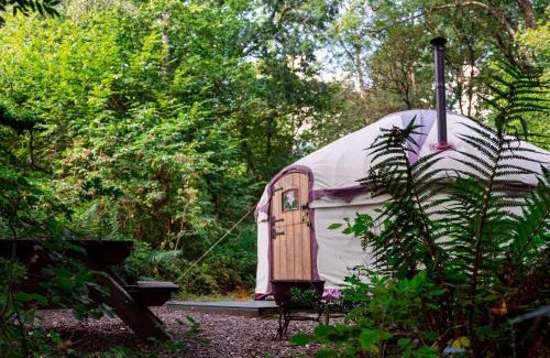 West Buckland Otro | Woodland Yurt at Kingsmead