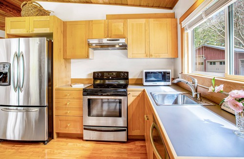 Langley Cabaña | Woodsy studio with high-speed WiFi, gas fireplace, and shared grill