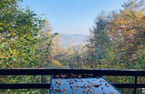Blaimont Chalet De Esquí | Woody Lodge - Duplex Nature Bonsoy Ardennes