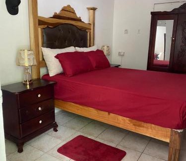Port Antonio Casa | Woody Town Centre Apartment