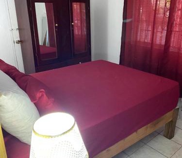 Port Antonio Casa | Woody Town Centre Apartment
