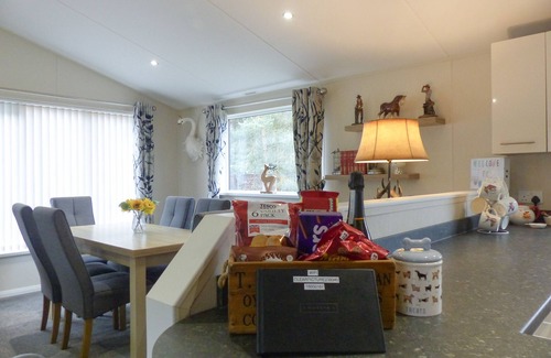 Morpeth Cabina | Woodys Lodge con bañera de hidromasaje de lujo (Felmoor Park)