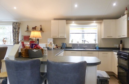 Morpeth Cabina | Woodys Lodge con bañera de hidromasaje de lujo (Felmoor Park)