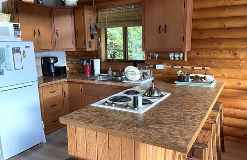 Packwood Cabina | Woolly Bear Log Cabin Mountain Get-Away