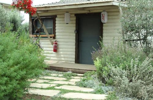 Ramat Tzvi Casa | Workation experience in beautiful village