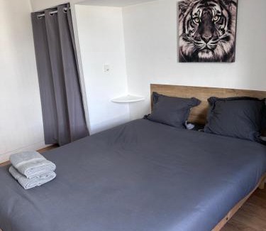 Barriere Saint Marc Apartamento | WorkSpace faubourg près de la gare TV WIFI CALME
