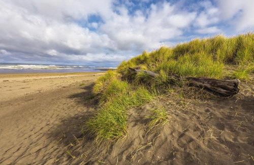 Ocean Shores Complejo | WorldMark Mariner Village