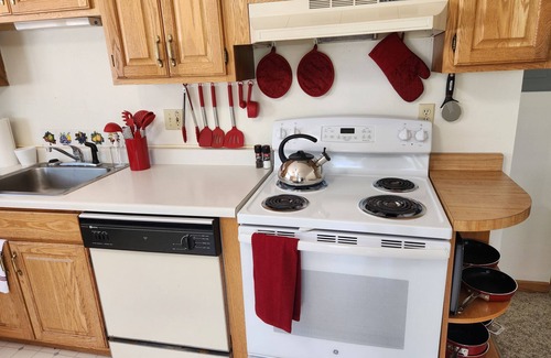 Houghton Apartamento | EV Ready Group Option Near MTU – Perfect Keweenaw Adventure Basecamp!