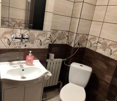 Wetlina Hotel | Wróbelek