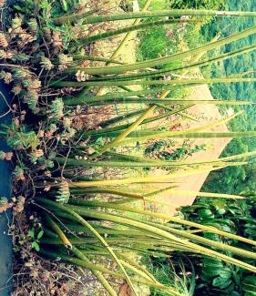 Durban Complejo | Wushwini Resort