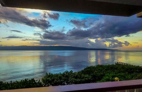 San Jose Cama Y Desayuno | Wuthering Heights Bed & Breakfast by the Sea