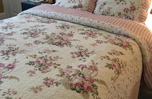 Sketty Cama Y Desayuno | Wynberg House Bed & Breakfast Swansea