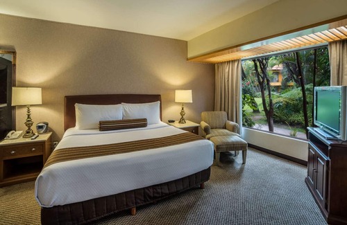 Zona Expo Hotel | Wyndham Garden Guadalajara Expo