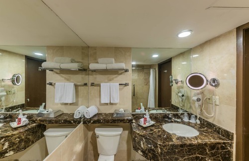 Zona Expo Hotel | Wyndham Garden Guadalajara Expo