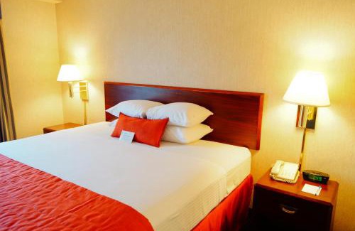 San Nicolás de los Garza Hotel | Wyndham Garden Monterrey Norte