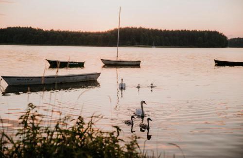 gmina Karsin Apartamento | Wypoczywanko Domek 43, 45