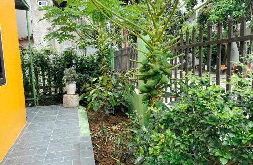 Ninh Binh Hotel | Xưa Homestay 2 Ninh Bình