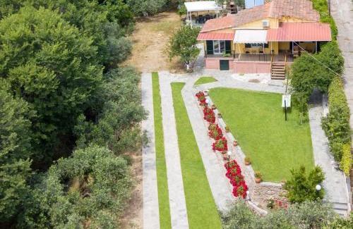 Palaio Tsifliki Casa | Xenophon House