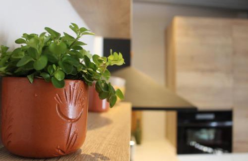 Santa Cruz de Campezo/Santikurutze Kanpezu Casa | XIMENETXE Vivienda Turística
