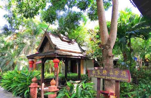 Jinghong Casa | Xishuangbanna Elephant Home Guesthouse
