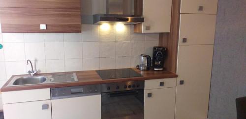 Bad Goisern Apartamento | XXL Cosy apartments Villa Goisern, centre with mountain view