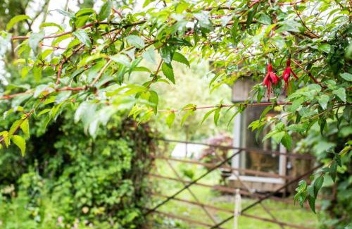 Cardigan Casa | Y Caban - Cosy Cabin in Pembrokeshire