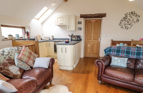 Machynlleth Casa | Y Daflod, MACHYNLLETH
