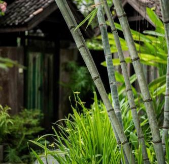Timbulharjo Complejo | Yabbiekayu Eco-Bungalows