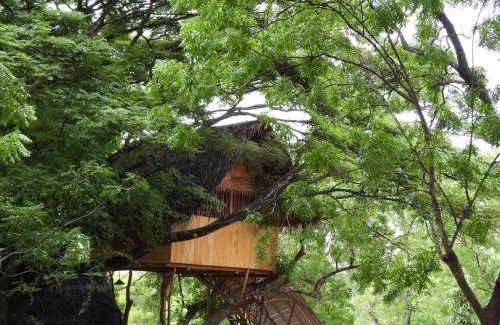 Yodakandiya Cabina | Yala Village Eco Tree House