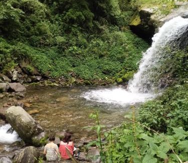 Banjar Casa | Yash wooden home stay tirthan valley