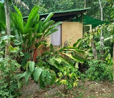 Serra Grande Otro | YbYmara Eco Glamping