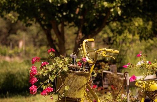 Molos Apartamento | Yellow Bike House