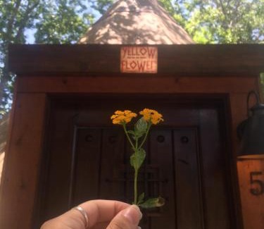 New Braunfels Casa | Yellow Flower - Tipi 5