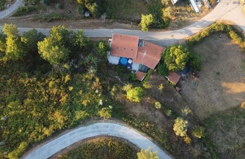 Moitas Casa | Yellow House - Casa Amarela