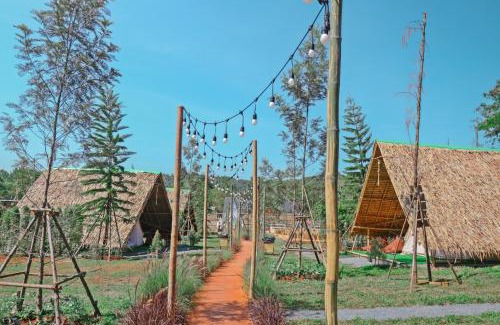 Pong Ta Long Otro | Yellowstone Camps Resort Khao Yai