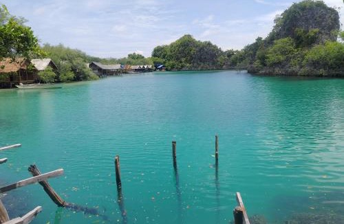 Pianemo Islands Casa | Yenmankankan Homestay