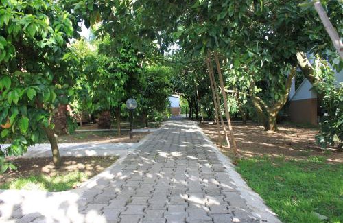 Cirali Complejo | Yildiz Pension Bungalows