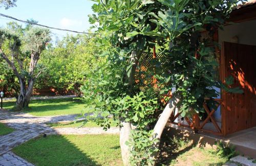 Cirali Complejo | Yildiz Pension Bungalows
