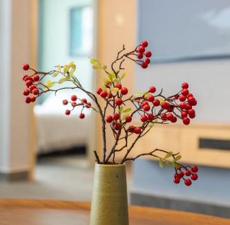 Guomao Apartamento | Yise Serviced Apartment -Beijing CCTV Shop