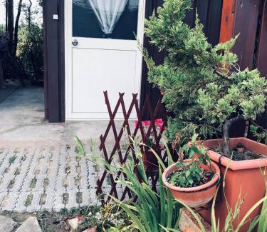 Danei District Casa | Yiyue Guanhe Homestay 倚月觀荷民宿