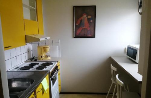 Pieksamaki Apartamento | yksiö Jäppilässä